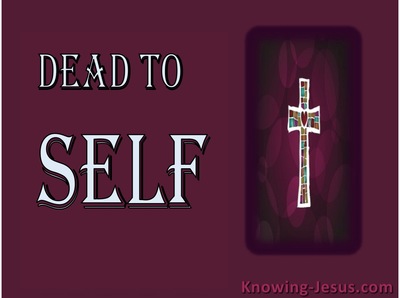 Dead to Self